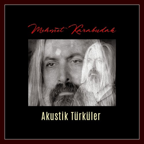 Akustik Türküler