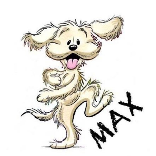 Max I Million Profile