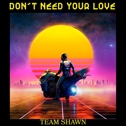 Don't Need Your Love
