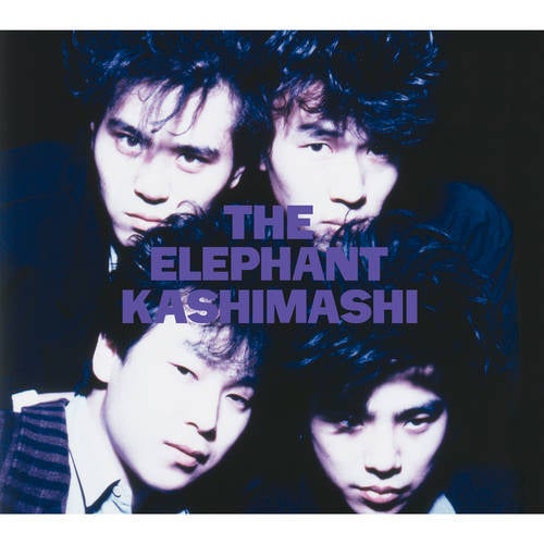 THE ELEPHANT KASHIMASHI