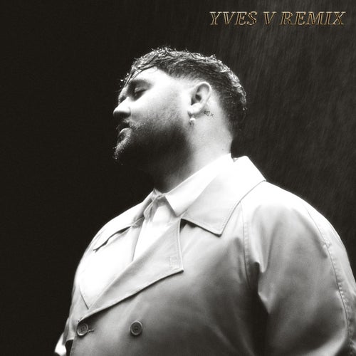 Fall in Your Arms (Remix)