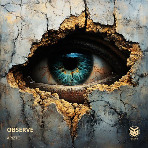 Observe