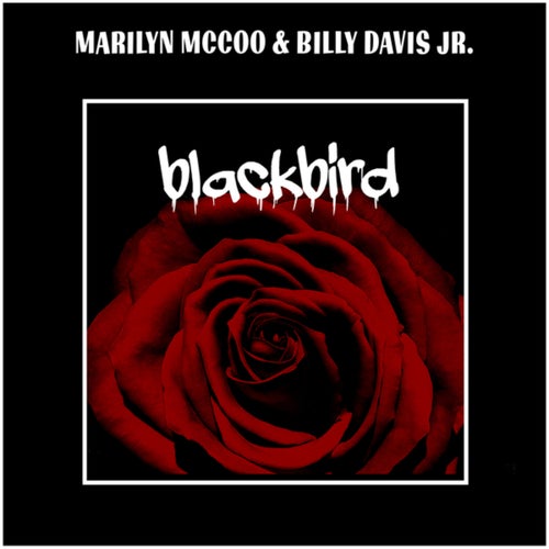 Blackbird