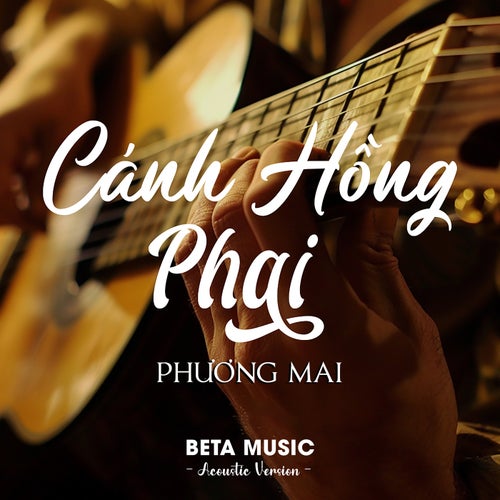 Cánh Hồng Phai (Acoustic)