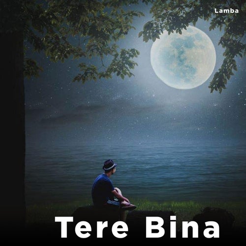 Tere Bina
