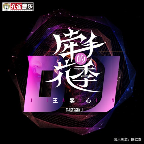 牽手的花季 (DJ沈念版)