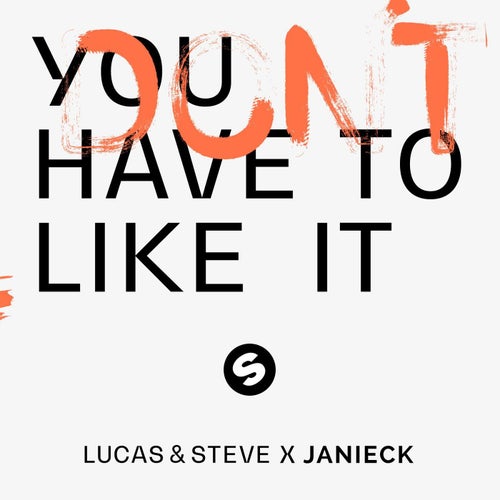 You Don't Have To Like It (Extended Mix)