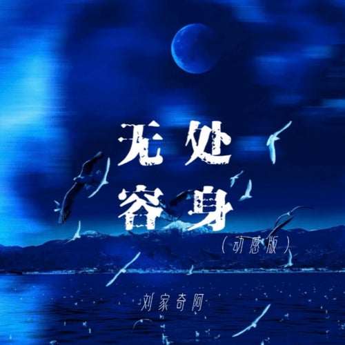 無處容身 (動感版)