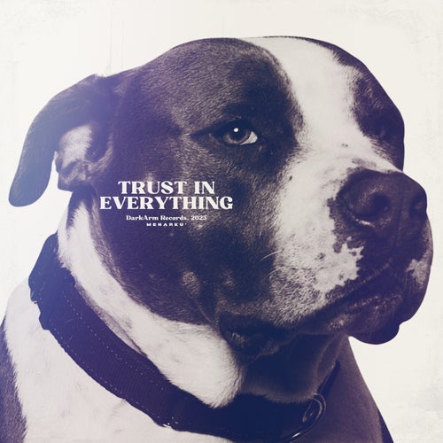 TRUST IN EVERYTHING