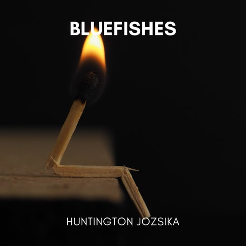 Bluefishes