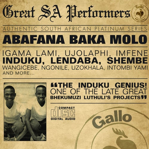 Great South African Performers