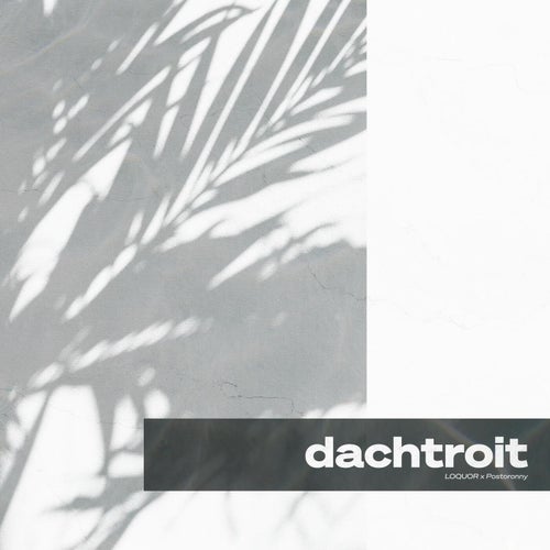 Dachtroit