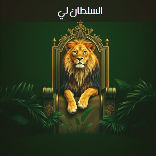 السلطان لي (clousound, DJ Droit)