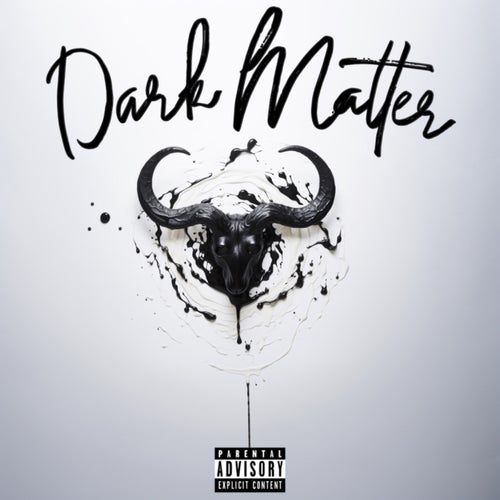 Dark Matter