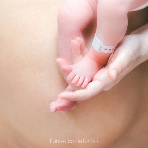 l'universo da fermo