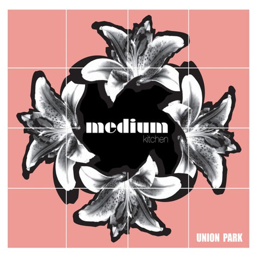 Union Park