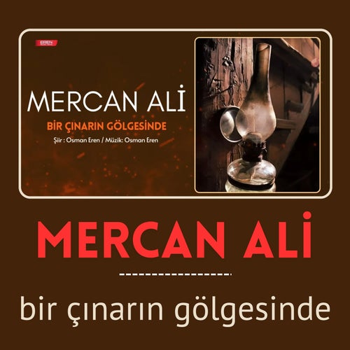 Bir Çınarın Gölgesinde