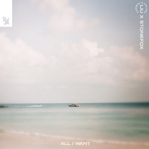 All I Want