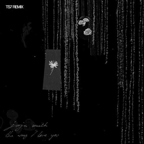 The Way I Love You (TS7 Remix)