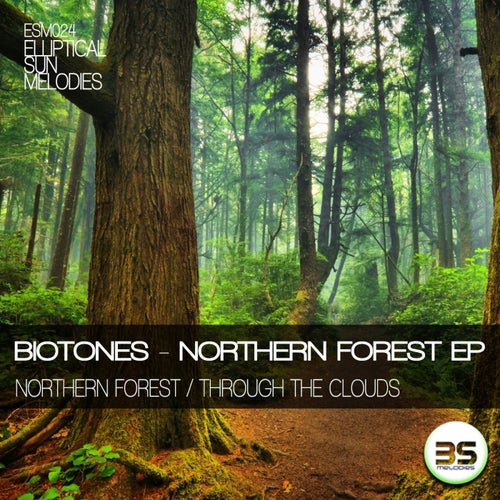 Northern Forest