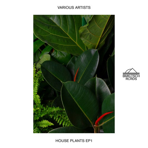 House Plants EP 1