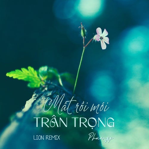 Mất Rồi Mới Trân Trọng (Lion Remix)