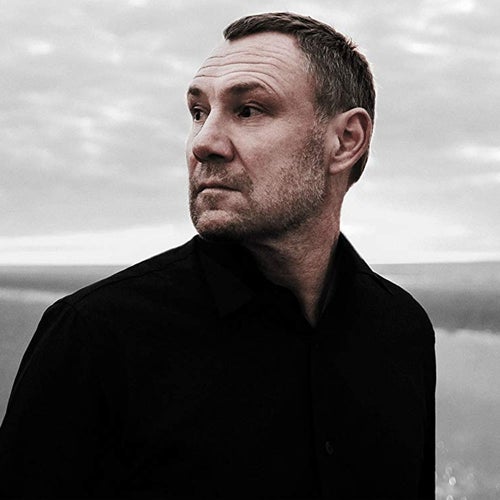 David Gray Profile
