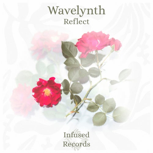 Release of the week