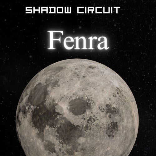 Shadow Circuit