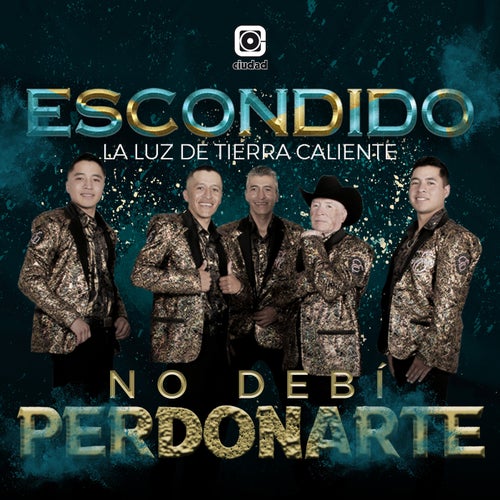No debí Perdonarte