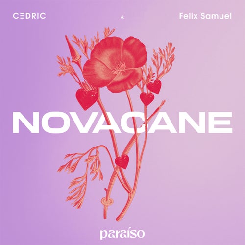 Novacane (feat. Felix Samuel)