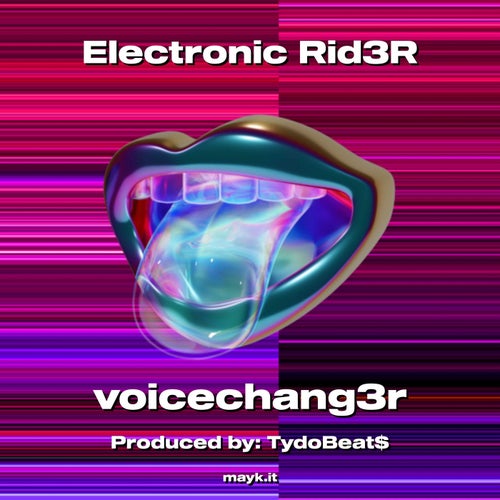 Electronic Rid3R
