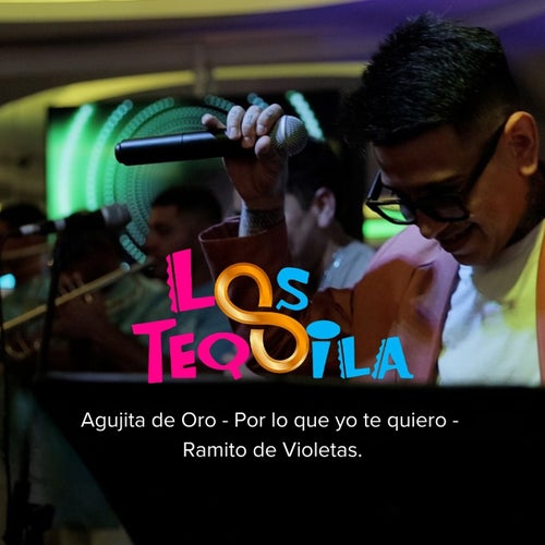 Agujita de oro - Por lo que yo te quiero - Ramito de Violetas (En Vivo)