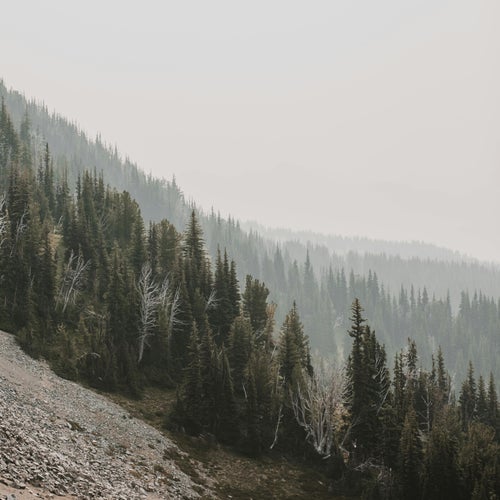 Zen & The Art of Focus