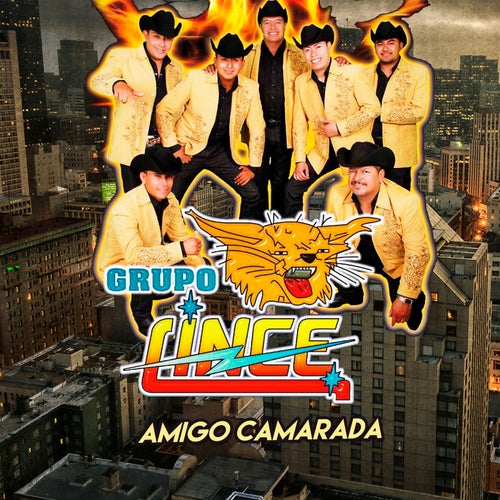Amigo Camarada