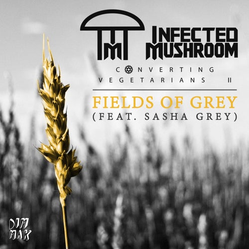 Fields Of Grey (feat. Sasha Grey)