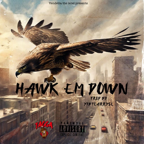 Hawk em down