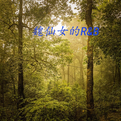 魏仙女的R&B