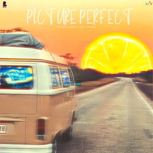 Picture Perfect
