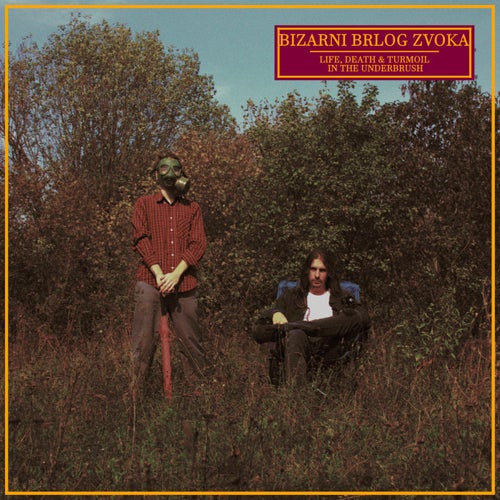 Life, Death & Turmoil in the Underbrush