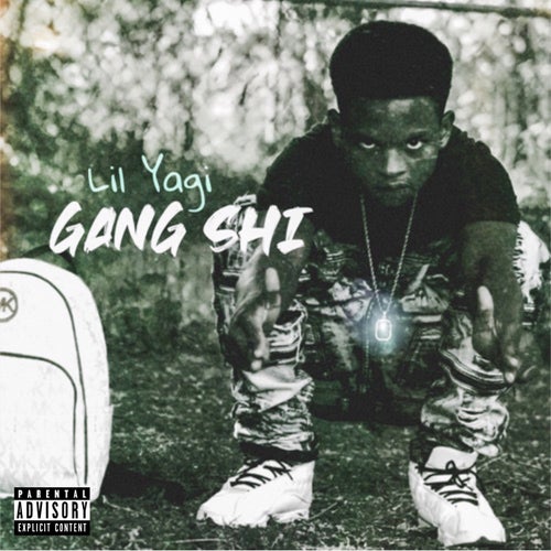 Gang Shi