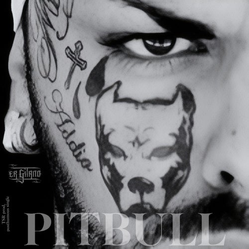 PITBULL
