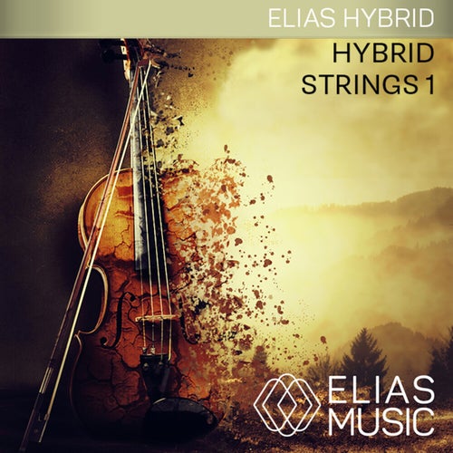 Hybrid Strings 1