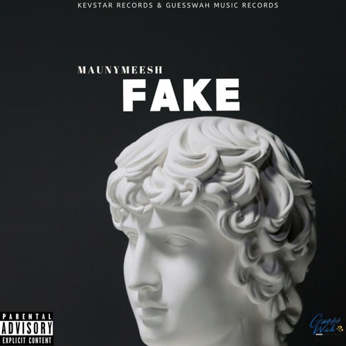 Fake