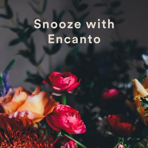 Snooze with Encanto