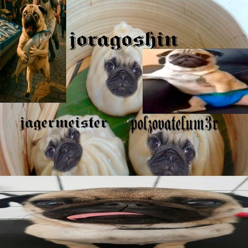 #PUGSWITHDRUGS