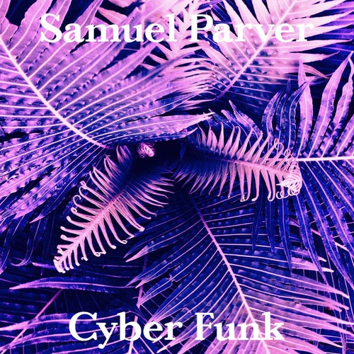 Cyber Funk