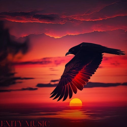 Through the Sky