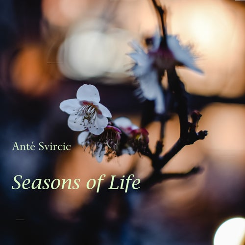 Seasons of Life