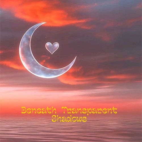 Beneath Transparent Shadows